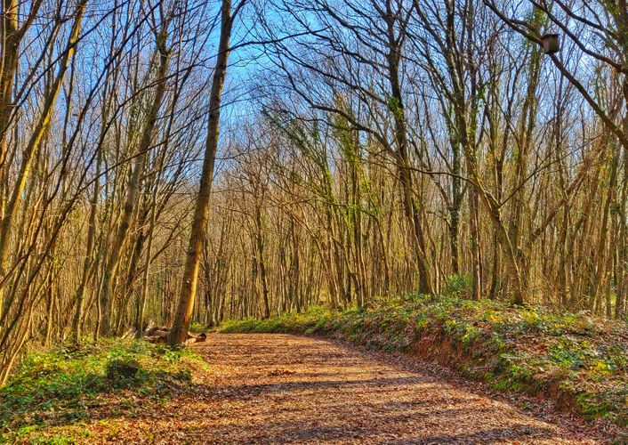 İstanbul'da Gidilebilecek En İyi 35 Park, Koru ve Bahçe