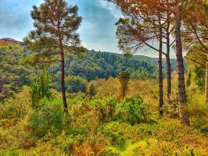 İstanbul'da Gidilebilecek En İyi 35 Park, Koru ve Bahçe