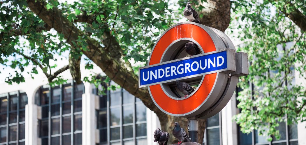 Heathrow Havalimanından Londra Şehir Merkezine Nasıl Gidilir?