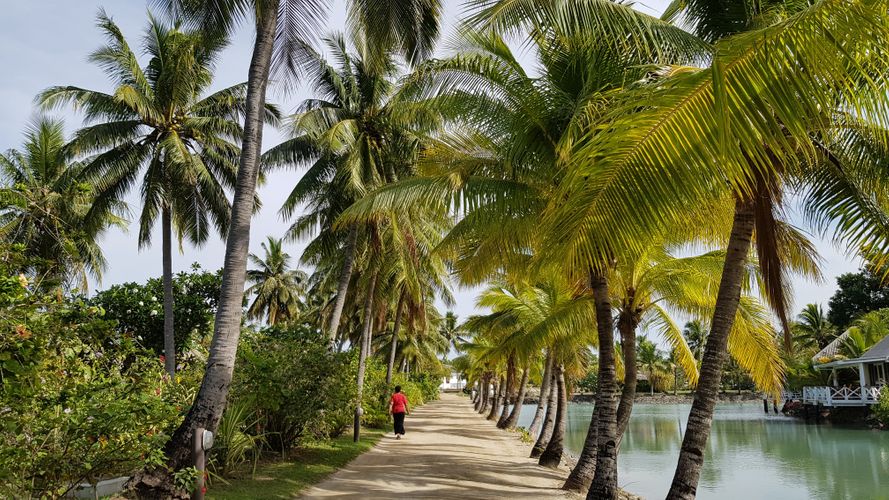 Yeşil Pasaporta Vize İstemeyen Ülkeler - Güncel 2026